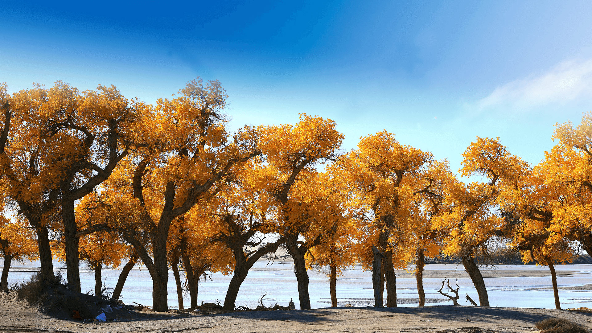 筑牢安全根基-護(hù)航地礦發(fā)展